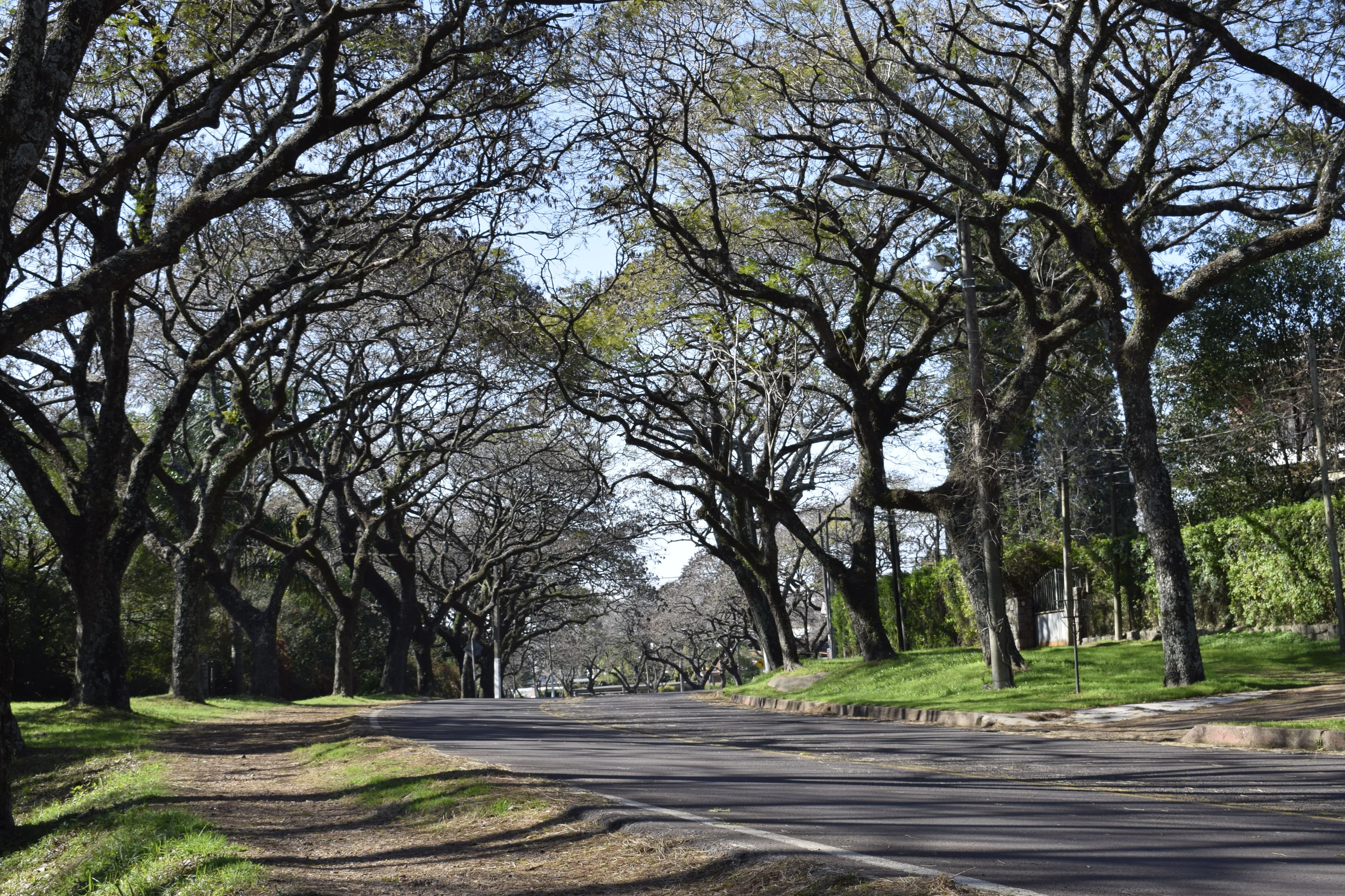 Espacio para foto de ruta